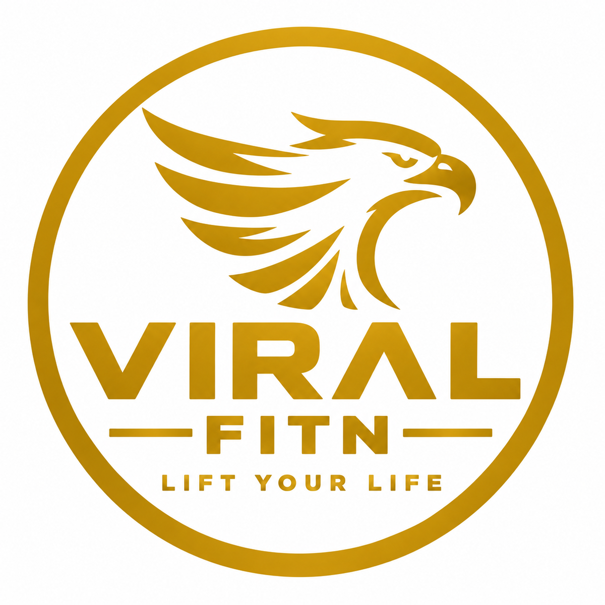 ABOUT VIRAL FITN- WHAT IT MEANS TO LIFT YOUR LIFE